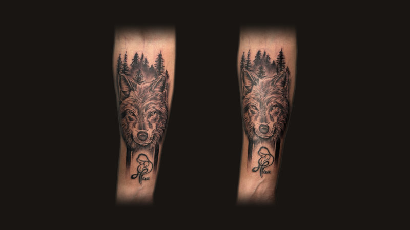 Wolf with forest and moon, black and grey realism tattoo on a forearm